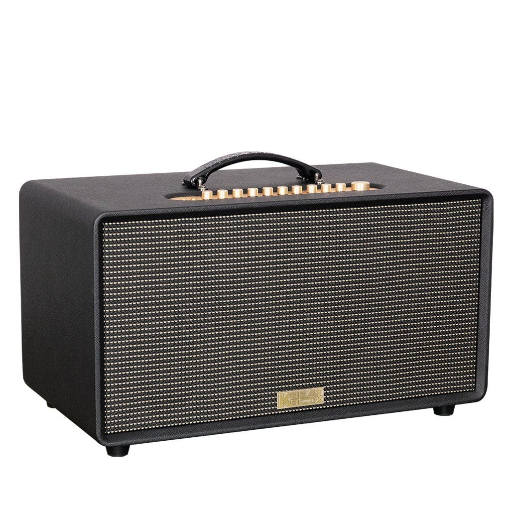 Loa sách tay SONCAMEDIA FLAC 36 Ver2