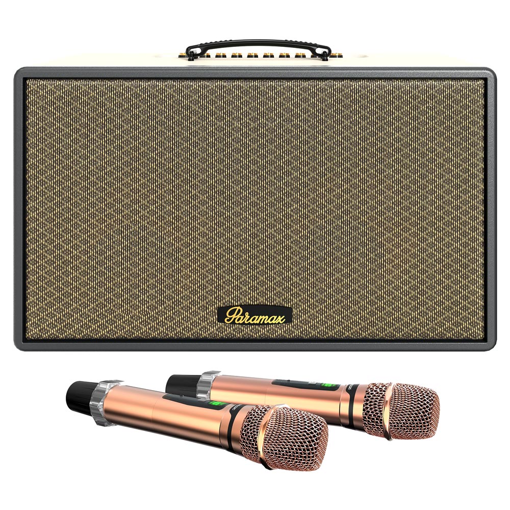 Loa sách tay PARAMAX Saga