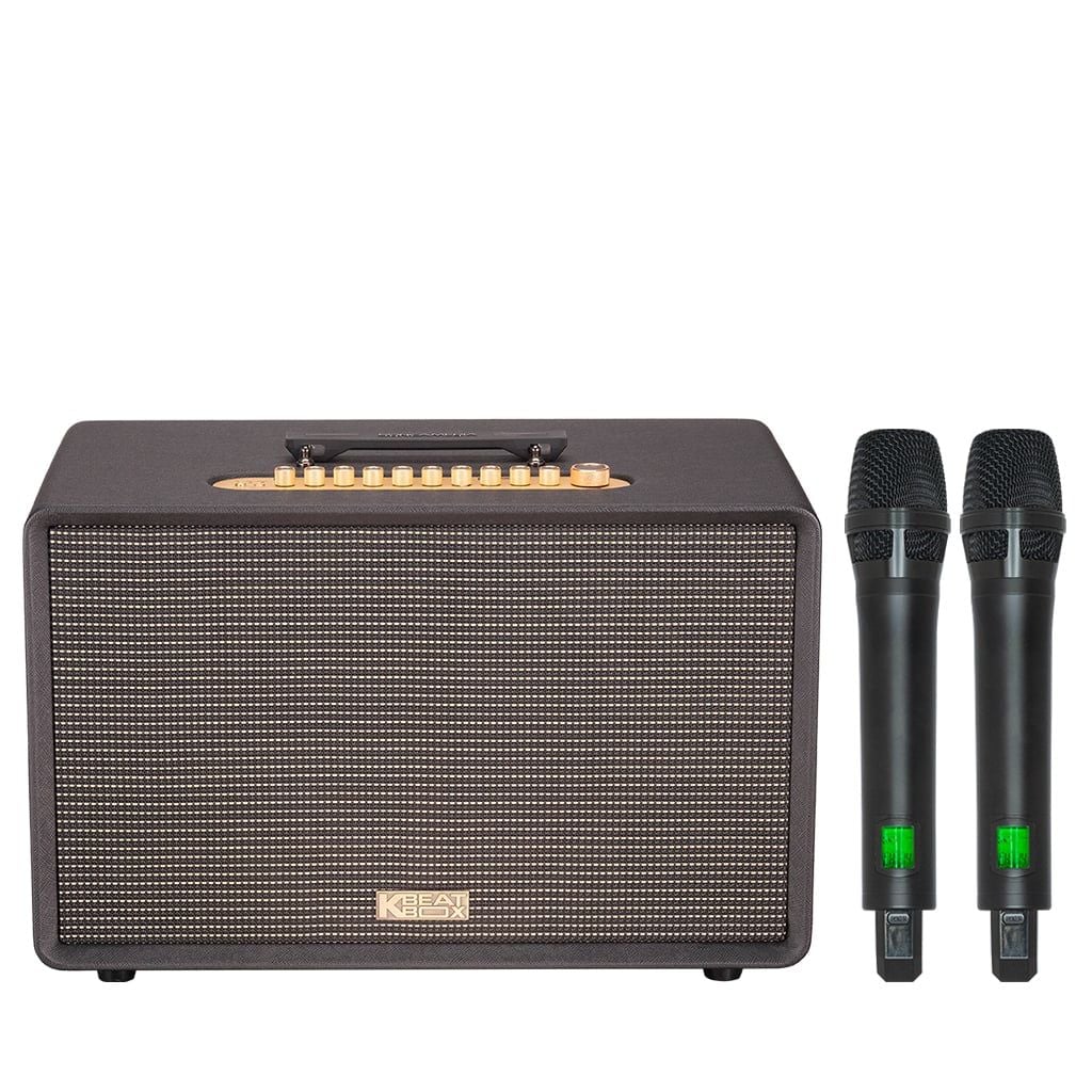 Loa Karaoke sách tay SONCAMEDIA FLAC 36 ULTIMATE